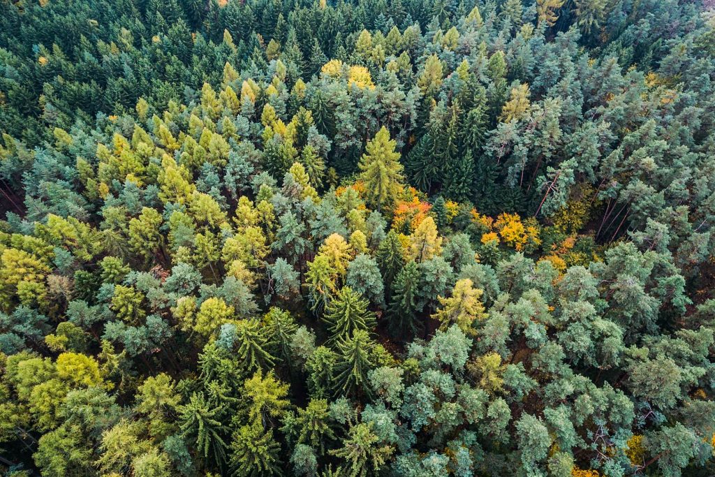De ressources naturelles à ressources humaines ou des richesses humaines ?
